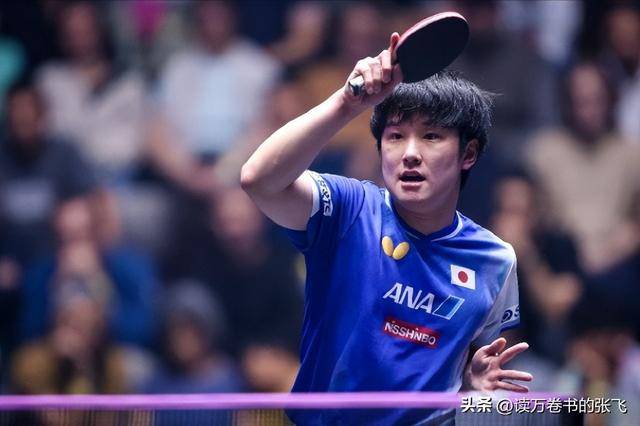 法国队力克波兰队，张本智和高光表现