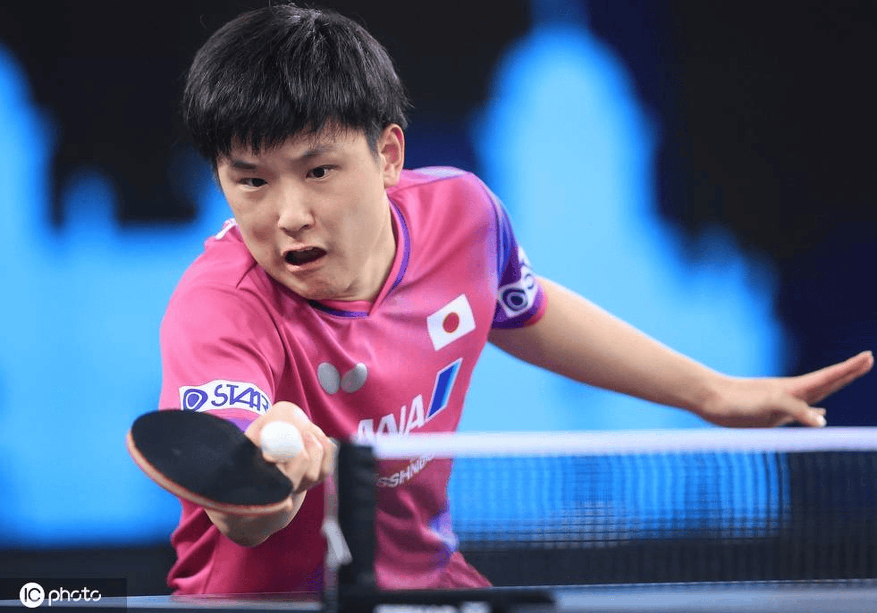 法国队力克波兰队，张本智和高光表现