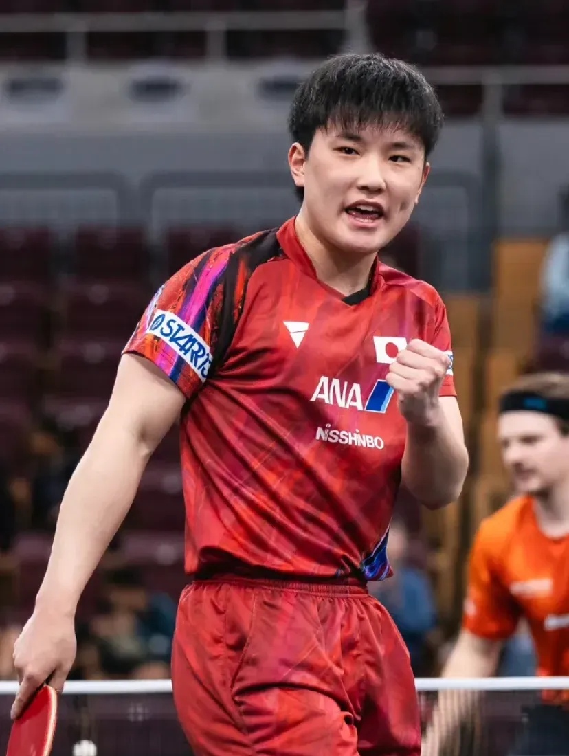 葡萄牙队力克波兰队,张本智和带队取胜 葡萄牙队力克波兰队,张本智和带队取胜