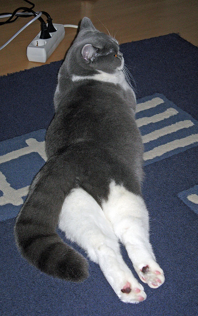 中国力量制胜时刻!新疆队绝杀魔术,陶汉林带队彰显坚韧本色