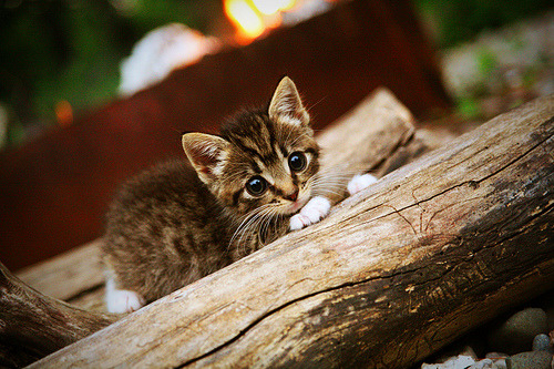 东方战神破逆风局,马琳统治全场,中国队鏖战力克丹麦