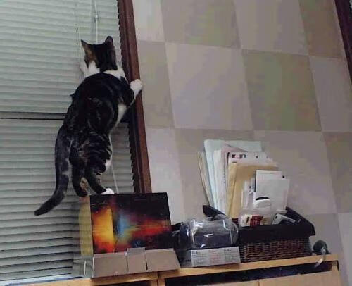 风暴之眼—陈雨菲单骑救主,中国队险胜德国