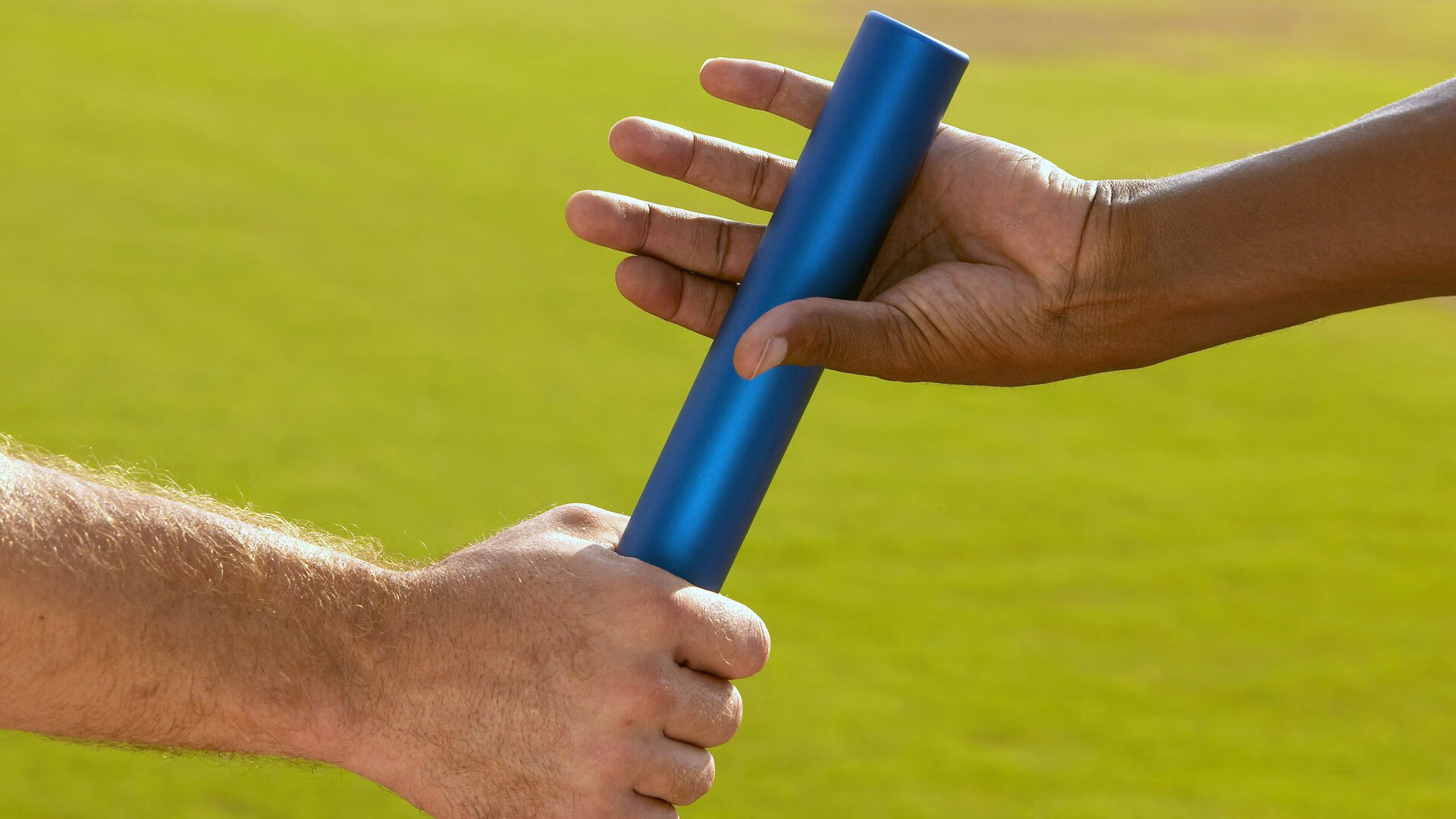 当向日葵遇见绿白条纹,一个法国人如何将两种颜色拧成战争与和平的绳结