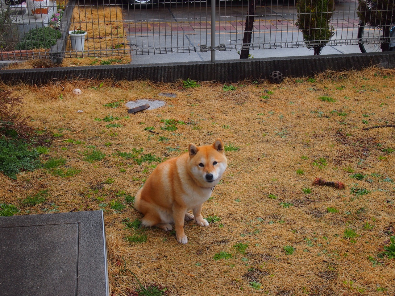 沙漠中的逆转,伊萨克如何于重压下完成灵魂试炼