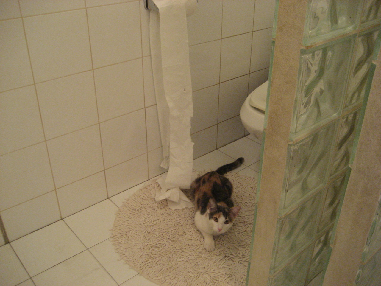 钢索上的舞者,迪亚斯在抢七之夜的铁血防守