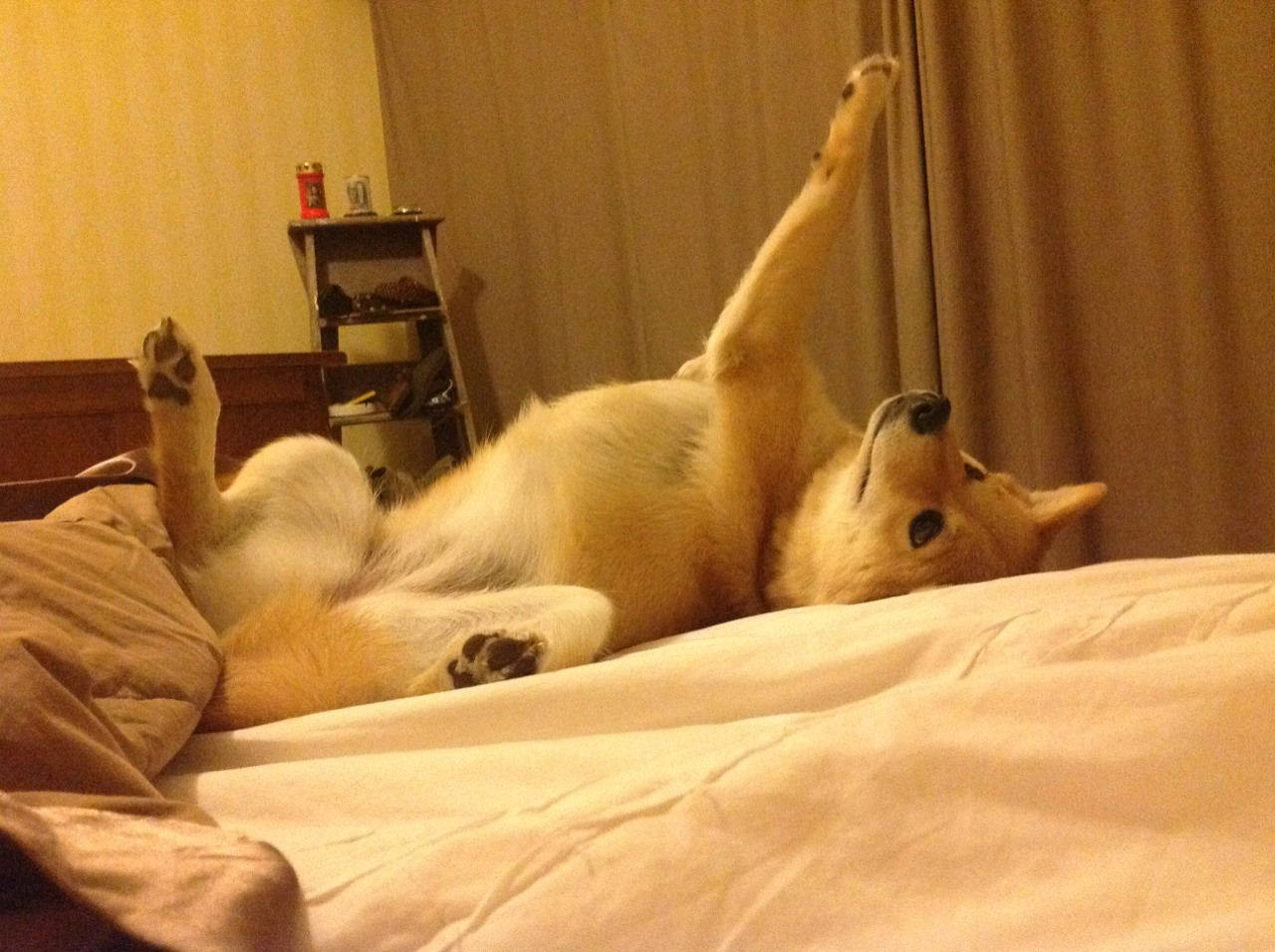 红海封锁线，当东方明珠遇上风城铁闸，保罗化身破局之钥