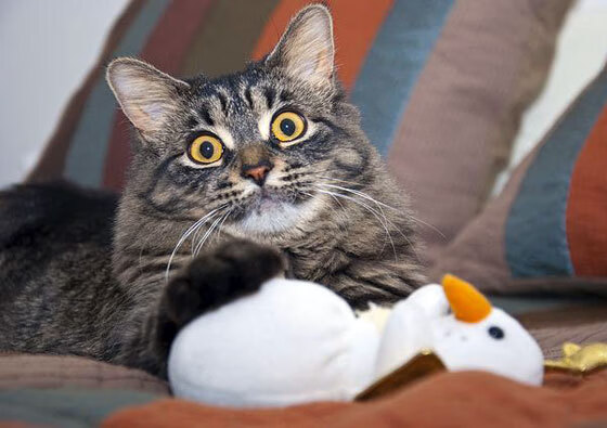 利拉德之夜，当得分变成一种解构艺术—敌营的每一寸溃烂，都是我的美学