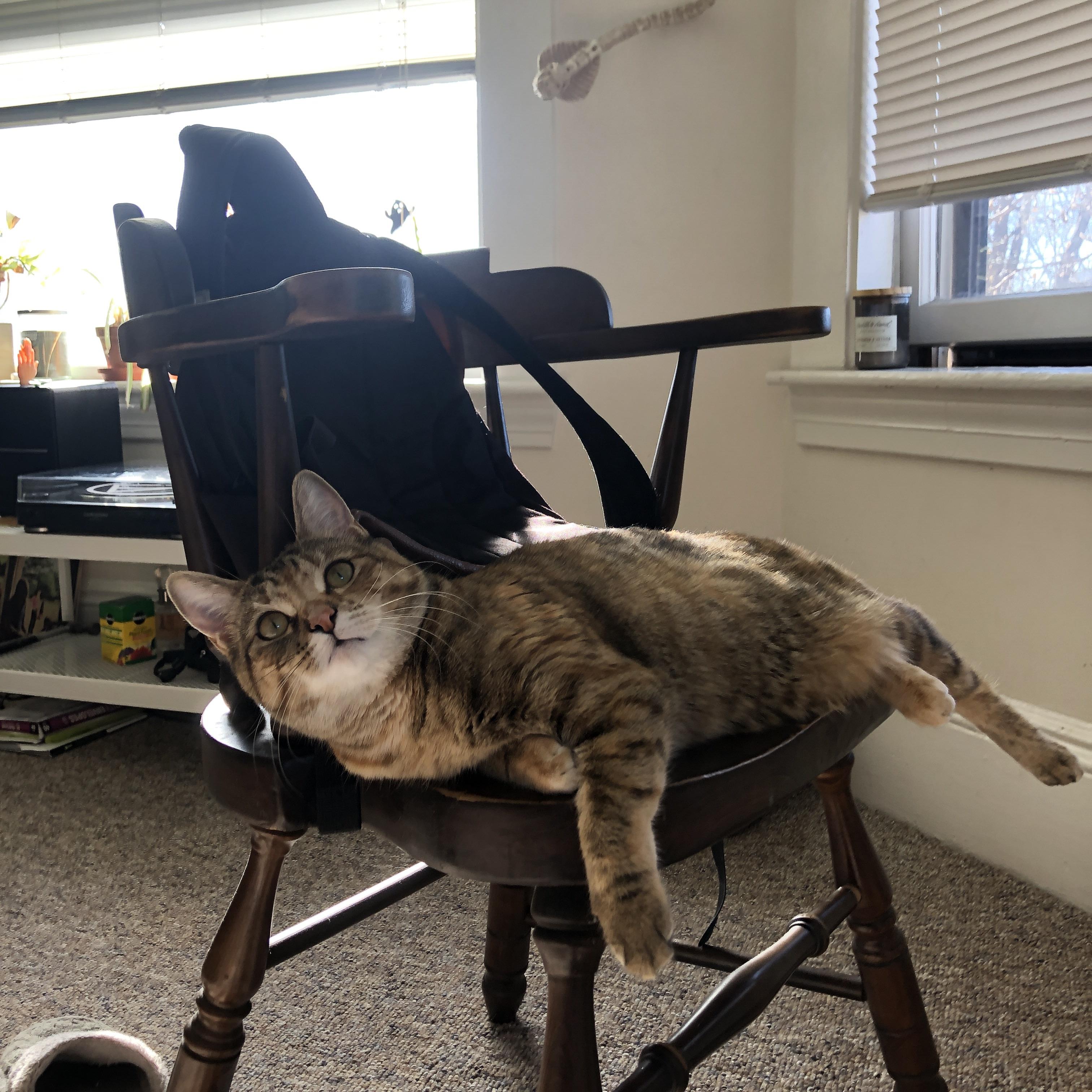 油门踩到底,篮球与赛车同时进入弯道时间