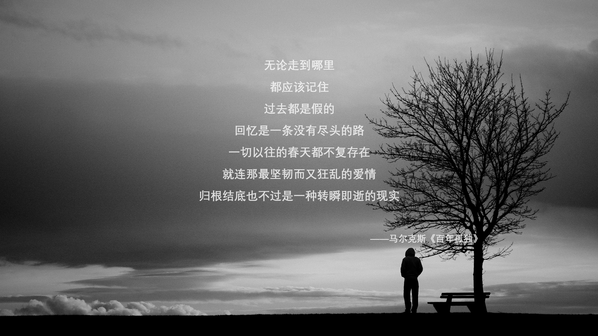 当深圳恩比德爆发，跨越太平洋的篮球叙事与冠军之路