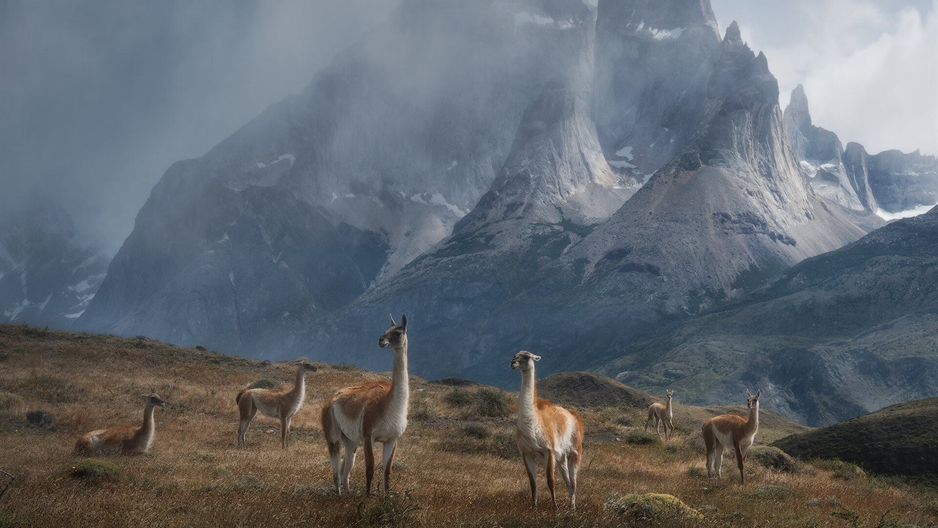 巴伦西亚苏醒，群蜂乱舞蛰伤牙买加，巴尔韦德的隐形权杖与厄瓜多尔的节奏美学