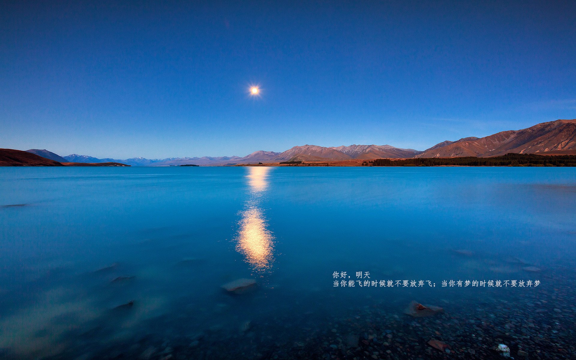 跨洋绝杀！欧文出口转内销助上海队险胜活塞