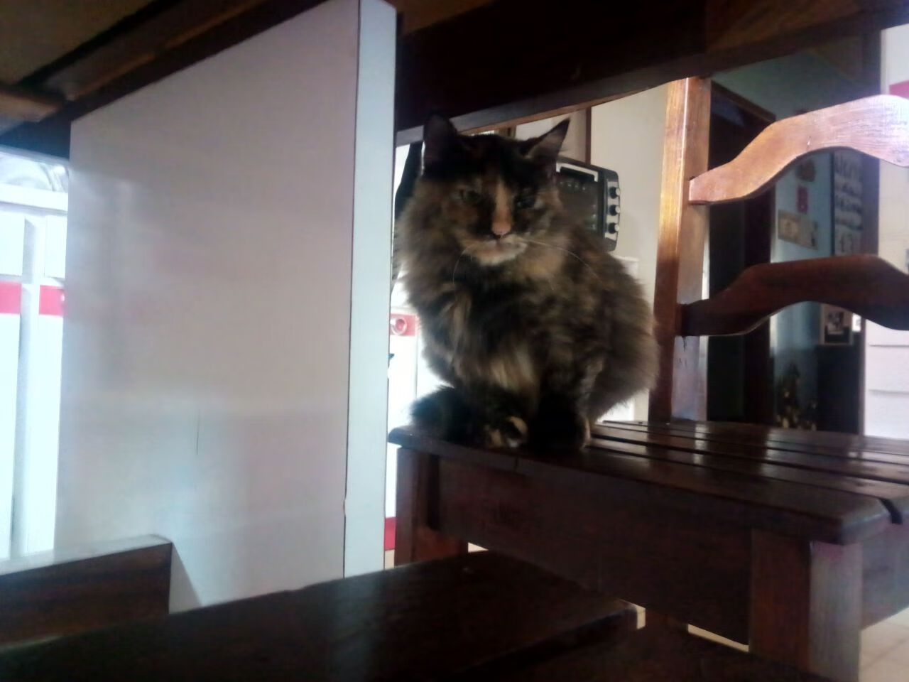 弦上舞者，巴尔韦德于无声处扼住命运之弦