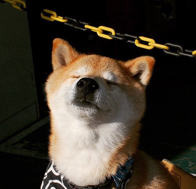 他对着漫天嘘声轻笑，舞台？这尺寸刚好