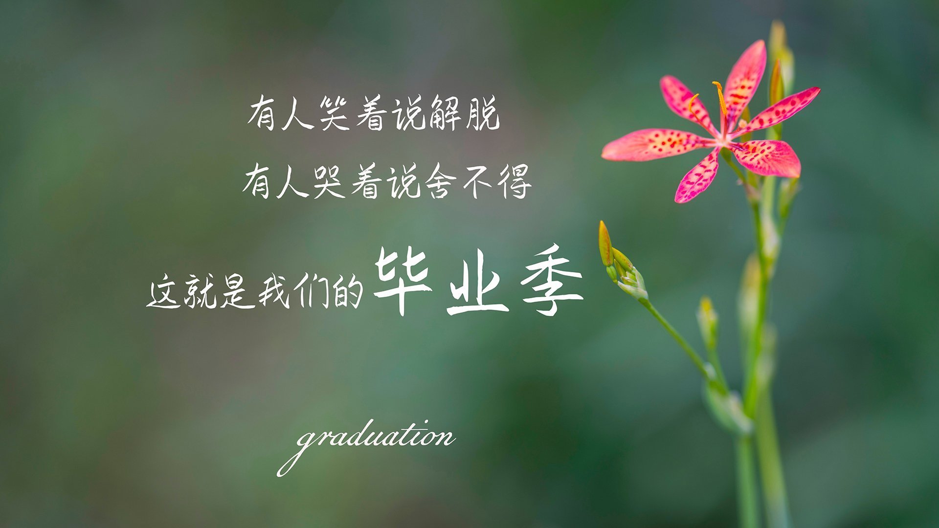 王者独行,孙兴慜撕裂橙衣防线,葡萄牙绝杀荷兰铸造D组新王座