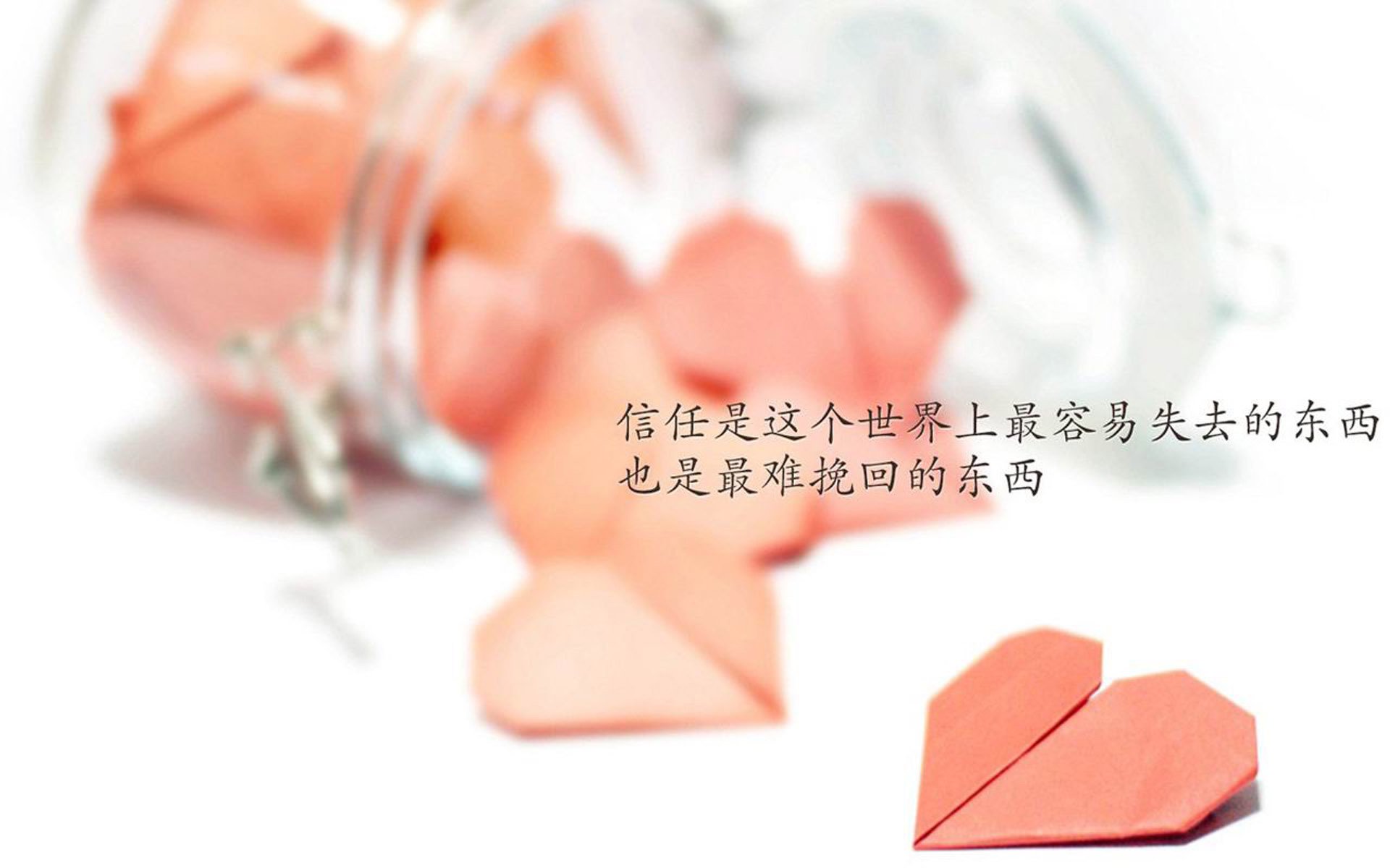 冰与火之歌，当维京战吼响彻热带风暴—2026世界杯F组，福登的唯一解