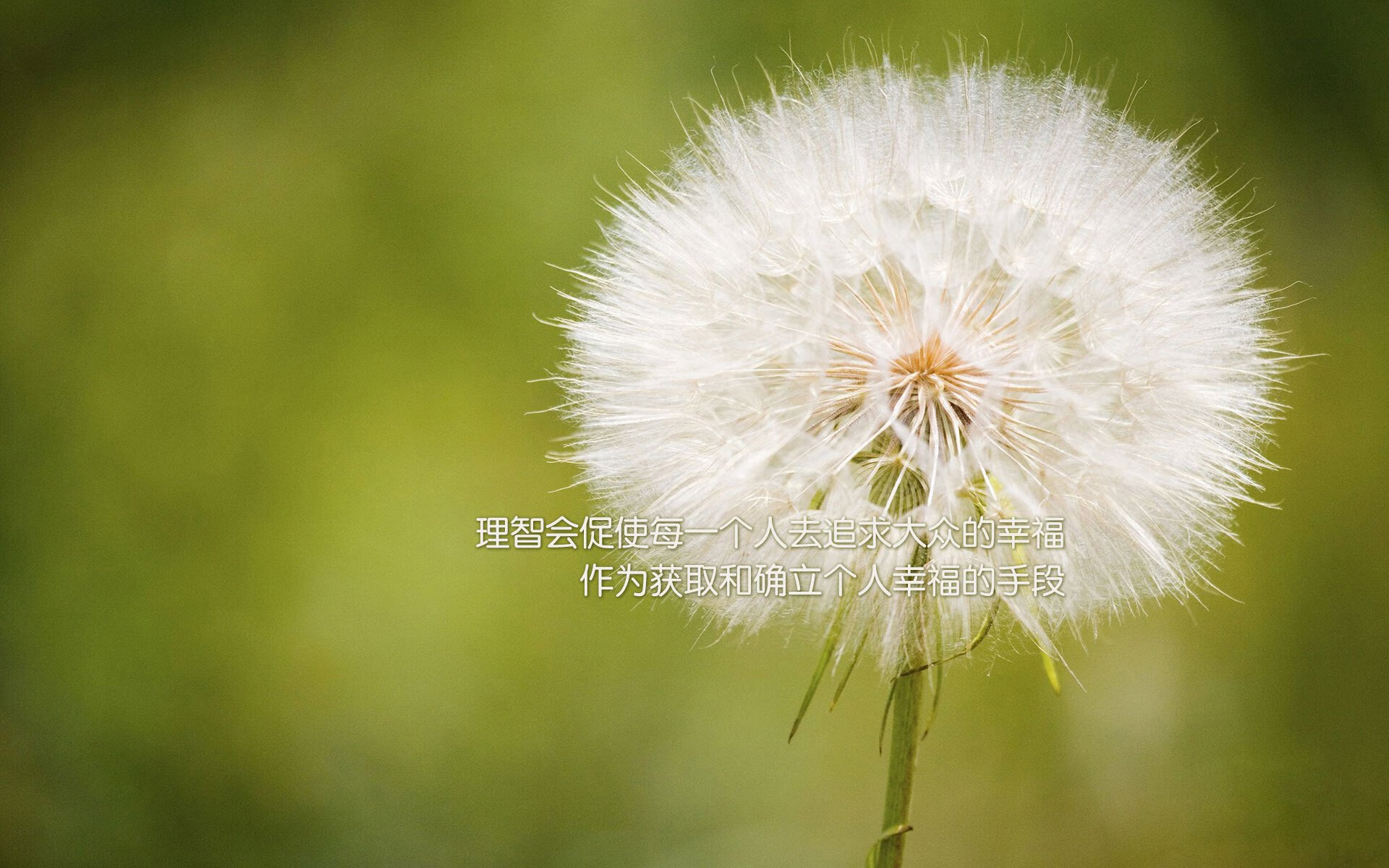 一球定乾坤,齐耶赫压哨绝杀,哥伦比亚在世界杯关键积分战中险胜印度