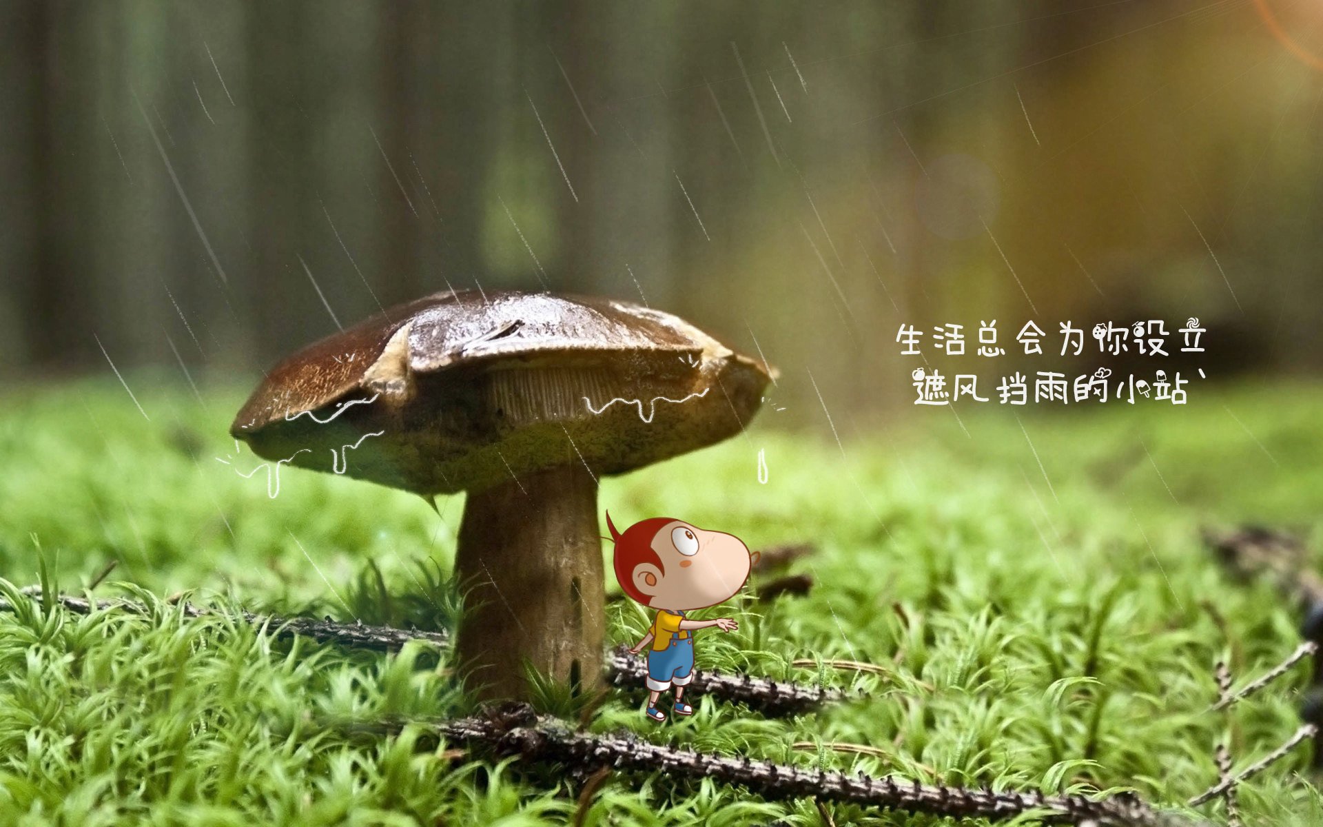 节奏之王的统治，迪亚斯如何用慢与快的哲学，导演匈牙利在2026世界杯C组关键战的横扫之夜